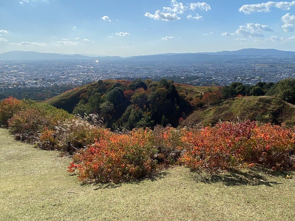 Wakakusa Driveway Lookout
