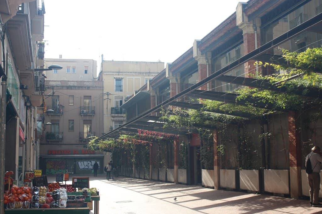 Local Barcelona Vibe