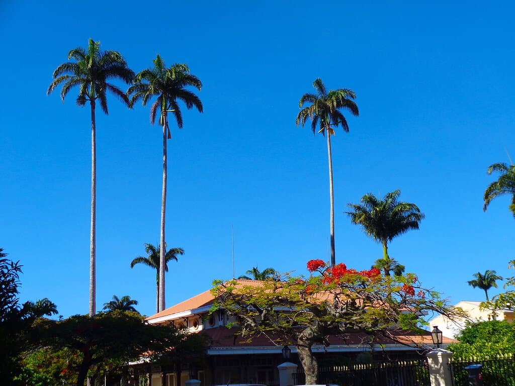 Nouméa City Museum.