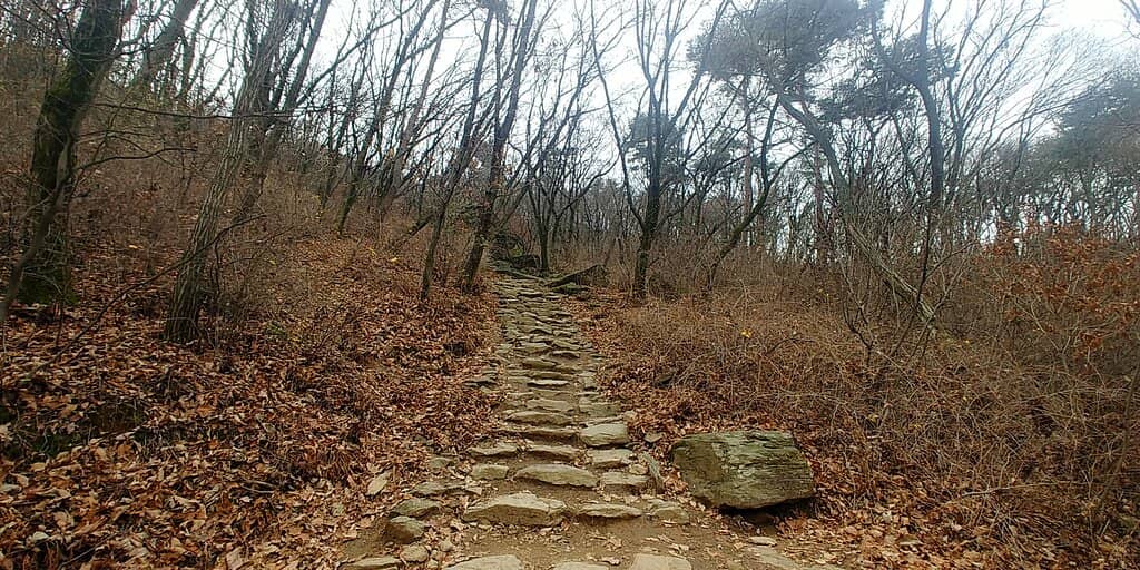 Seoul Grand Park Loop