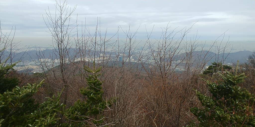 Panoramic Seoul Views