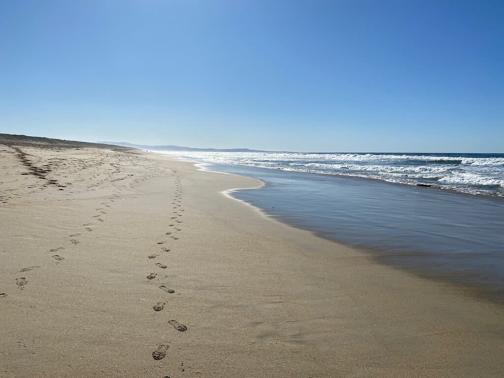 Salinas River State Beach