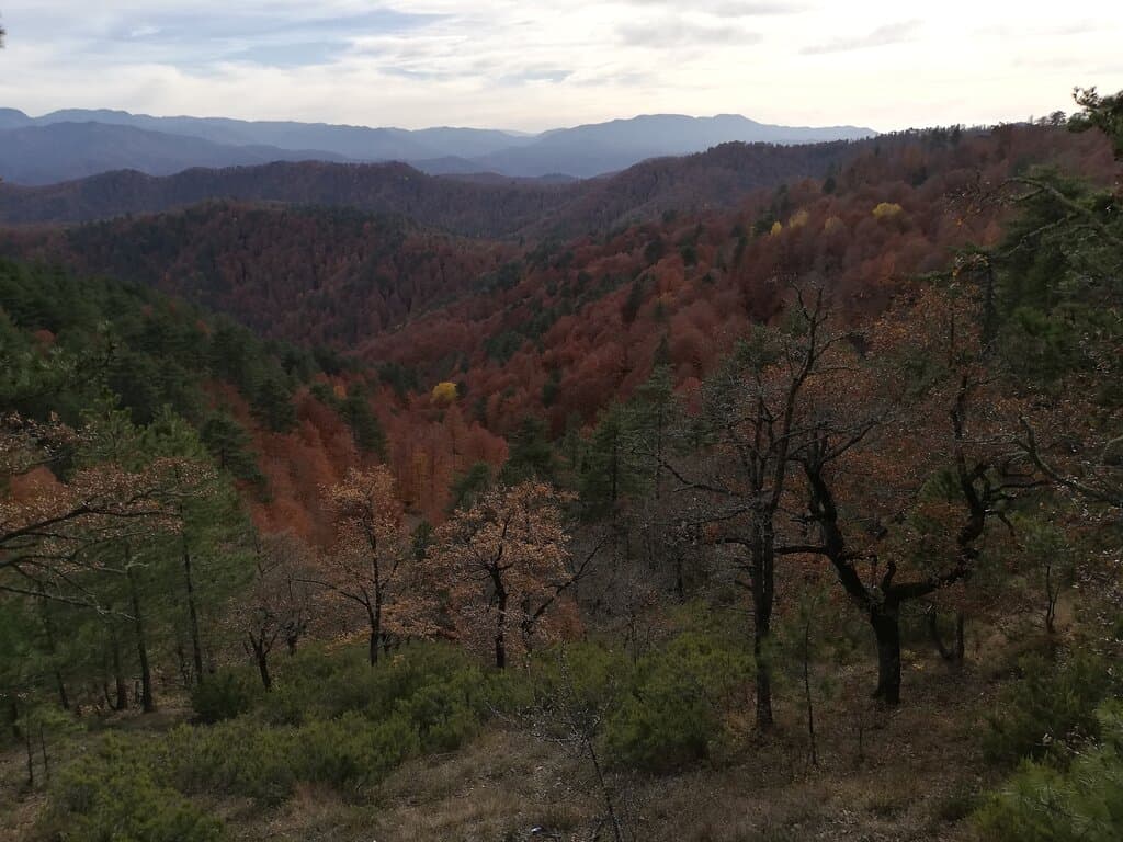 Yenice Forest and Şeker Canyon