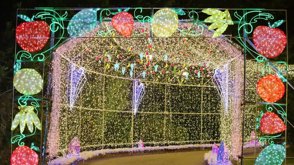 Winery and Local Products