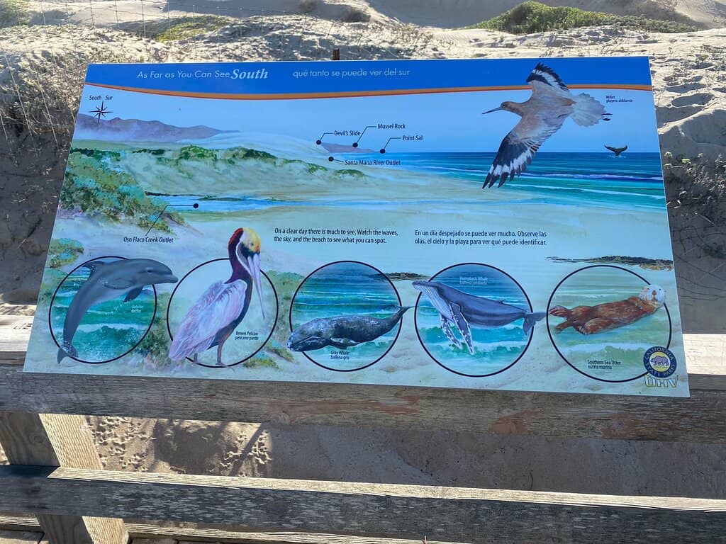 Coastal Wetlands & Wildlife