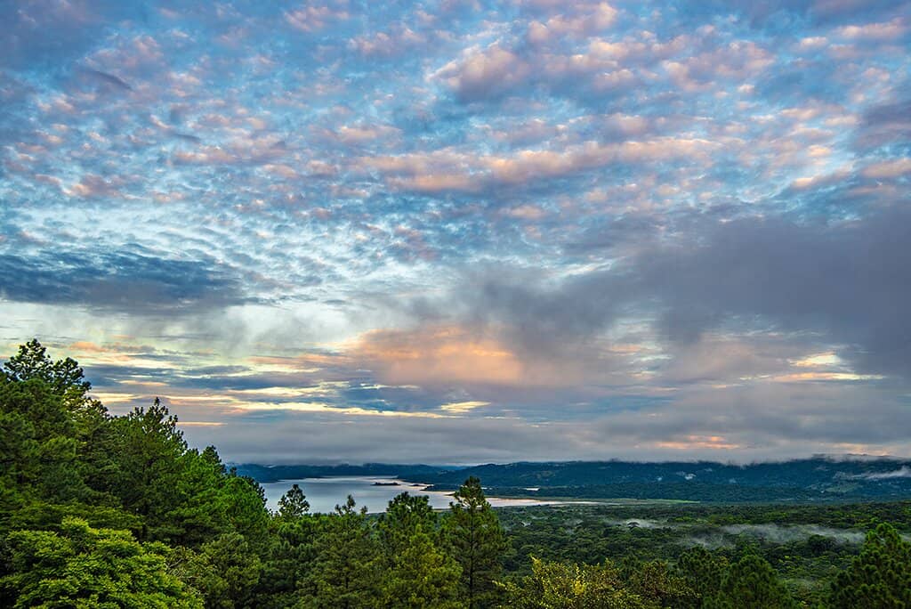 Exceptional Birdwatching Opportunities