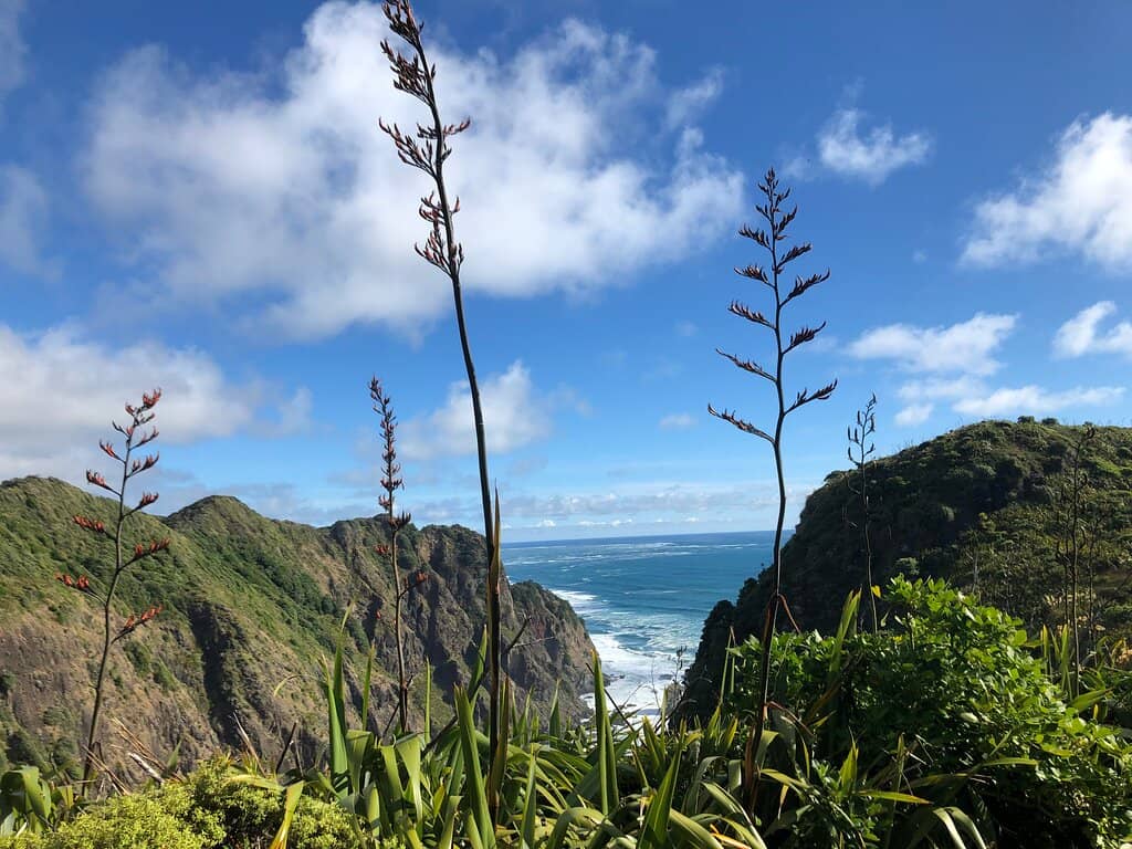 Historic Te Ahua Headland