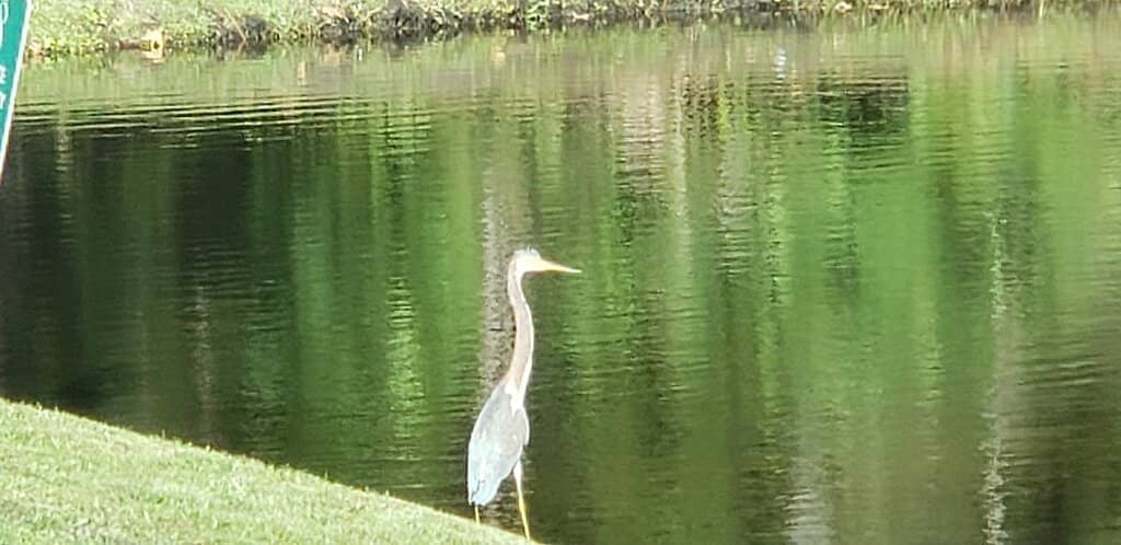 Meditative Labyrinth