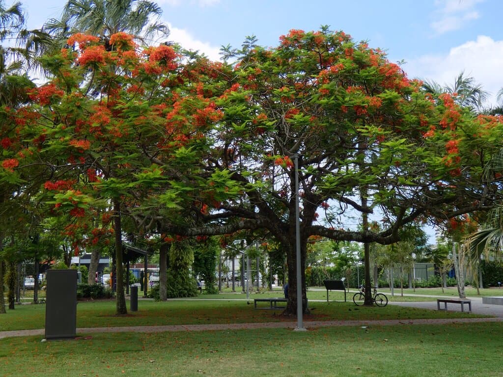 Munro Martin Parklands