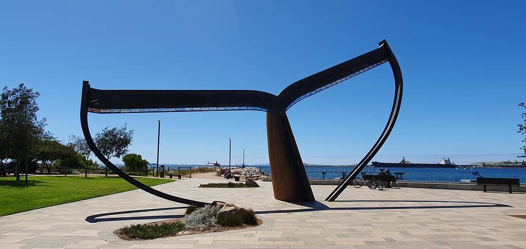 The Whale Tail Sculpture
