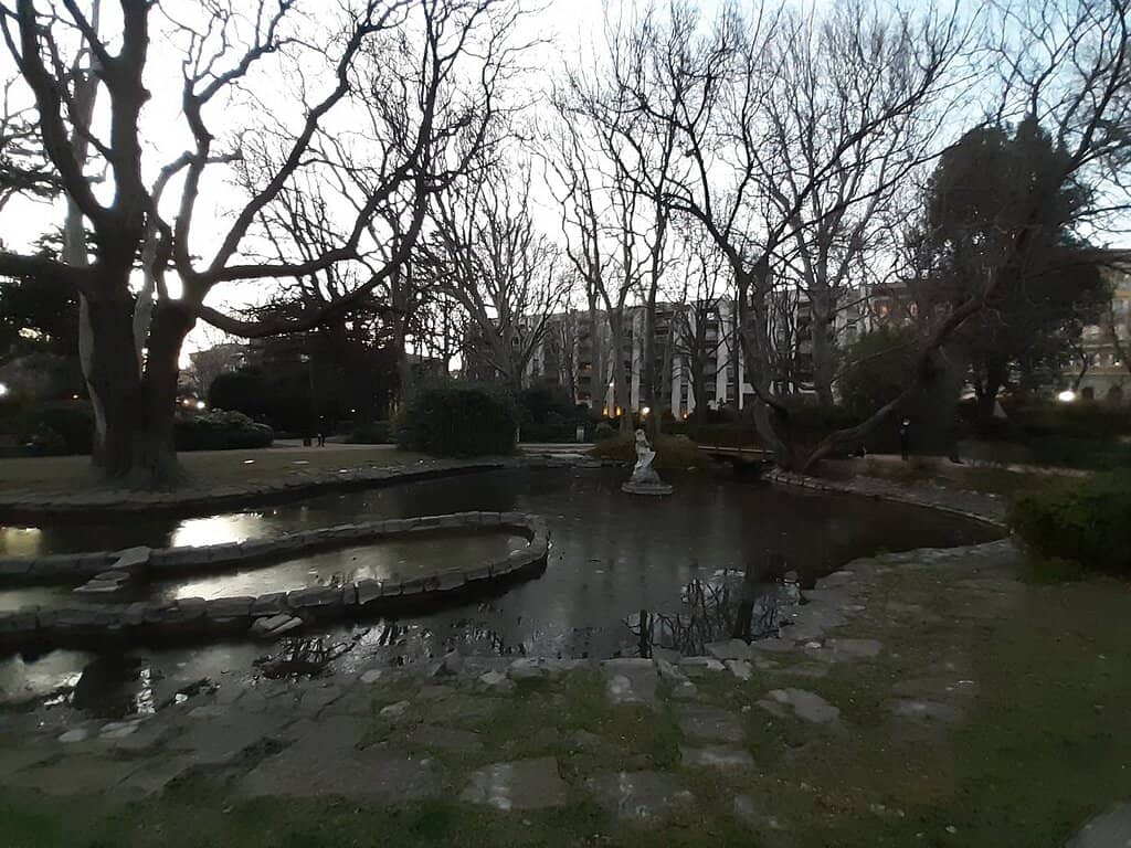 Tranquil Pond