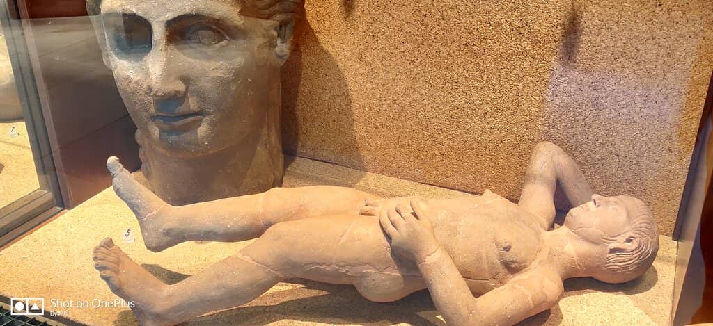 Neolithic and Punic Artifacts