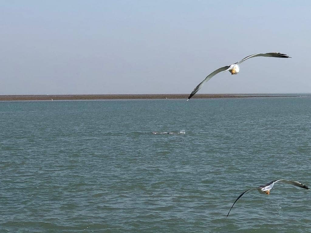 Iconic Lighthouse Structure