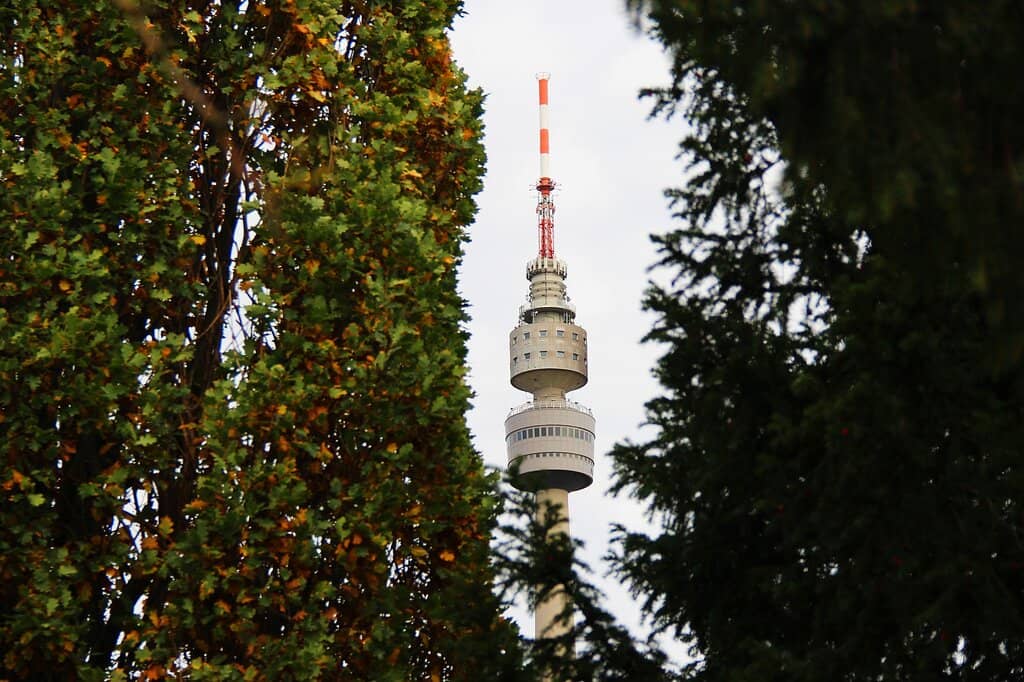 Panoramic City Views