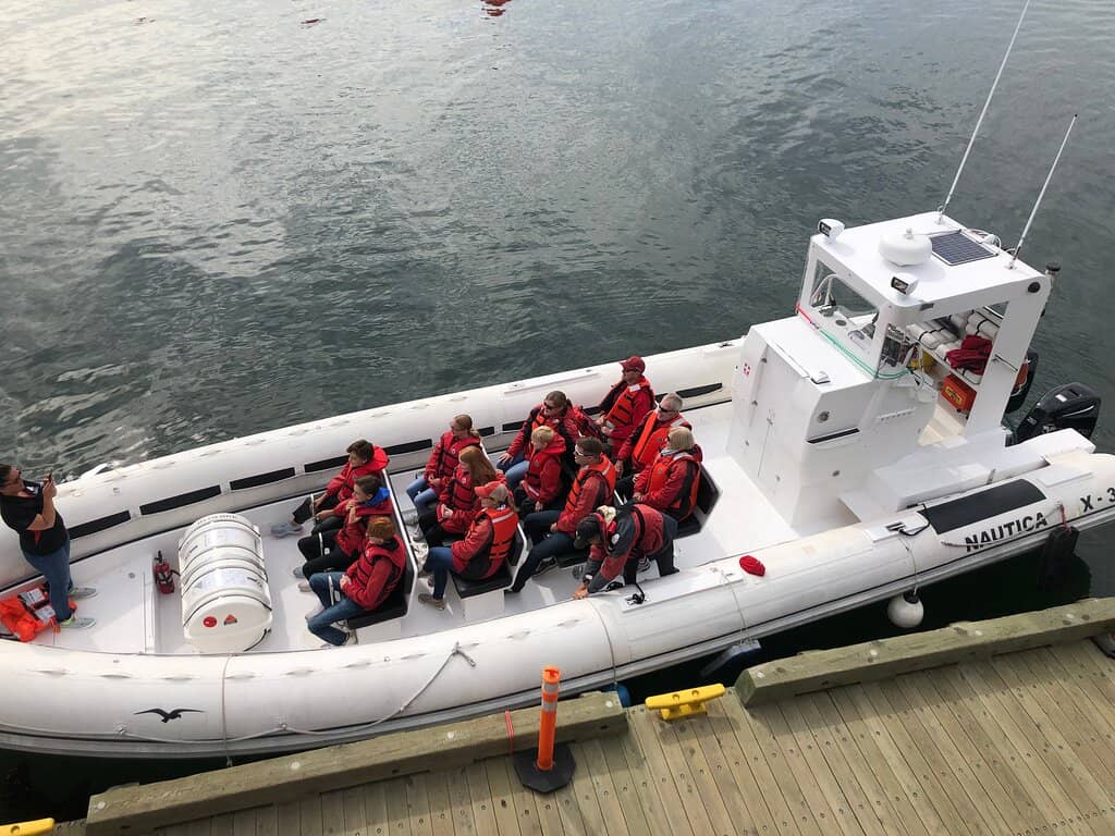 Diverse Marine Wildlife