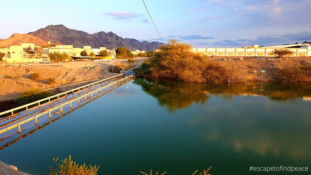 Ever seen a waterfall in the desert? Don’t be surprised, because you’ll find one at Hatta Swan Lake. The place is 24/7 open and charges zero entrance fee.