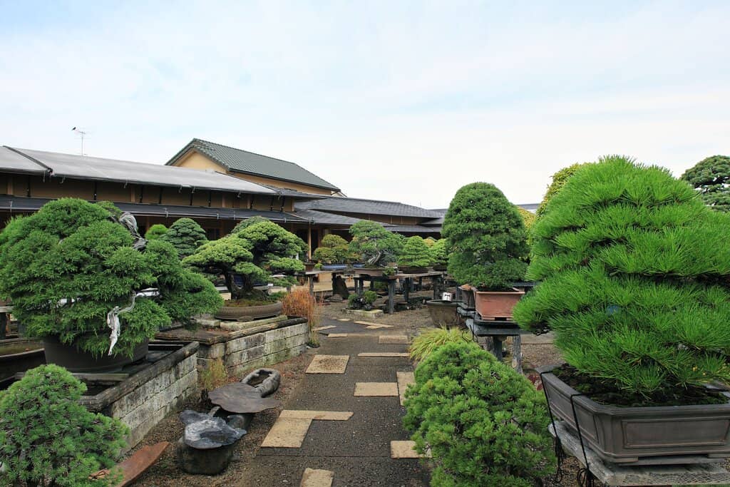 Omiya Bonsai Art Museum