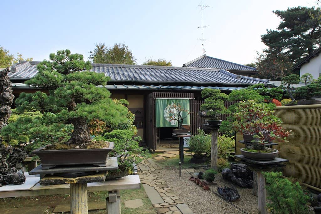 Bonsai Nurseries