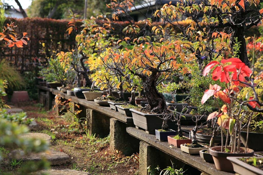 Quiet Residential Strolls