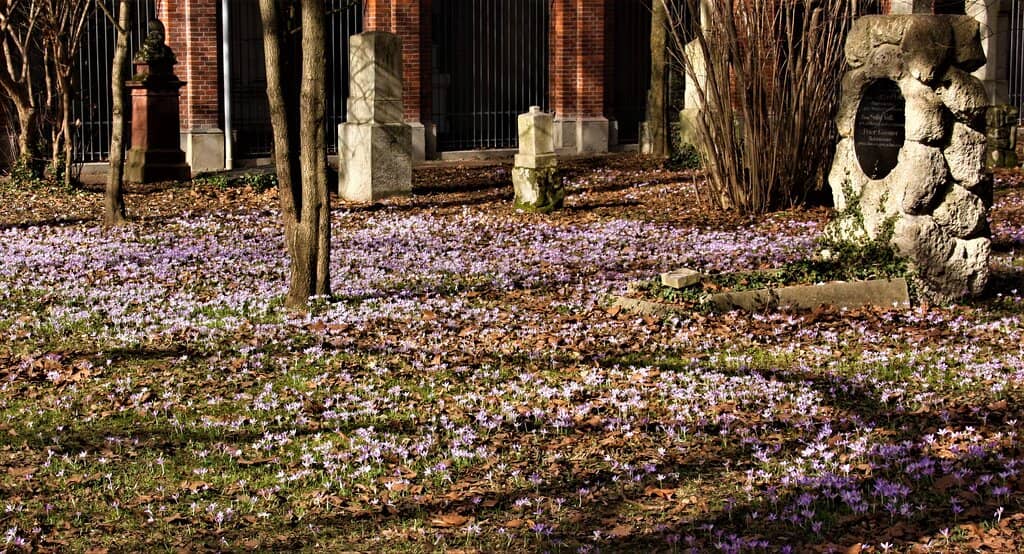 Historic Gravestones