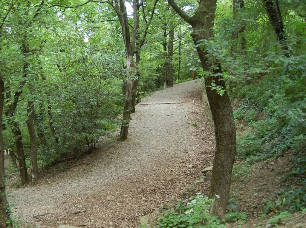 Paved Walking Paths