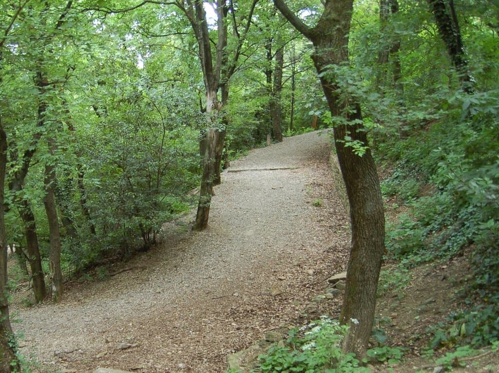 Parco Farneto