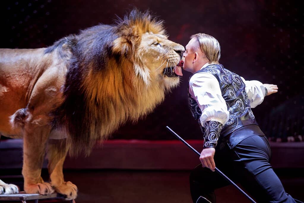 Weekend Performances