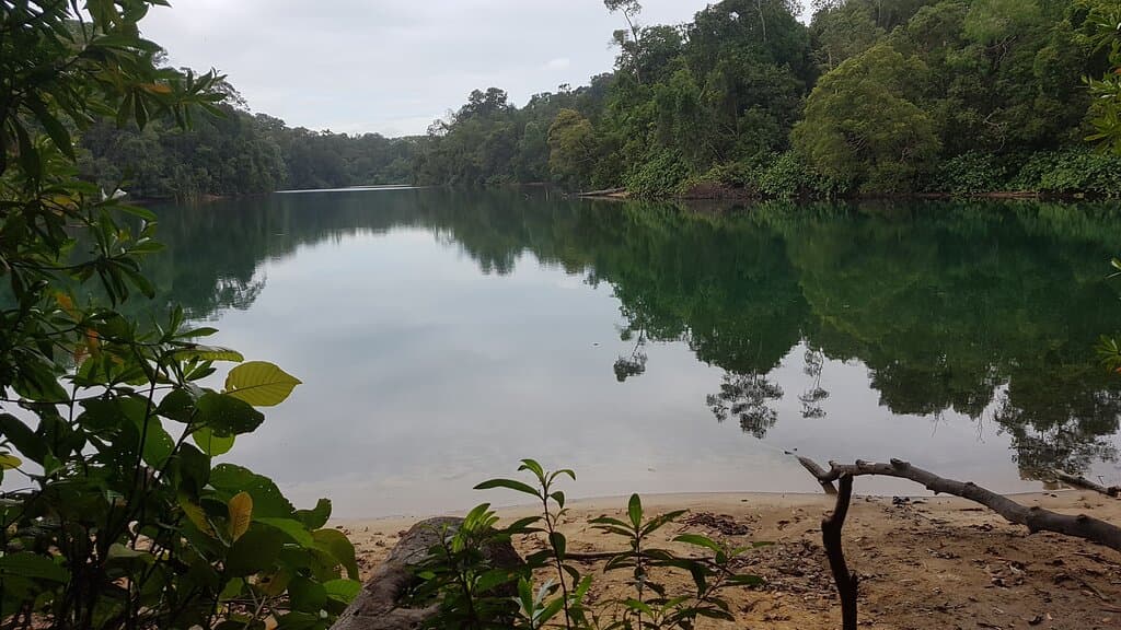 Chestnut Nature Park