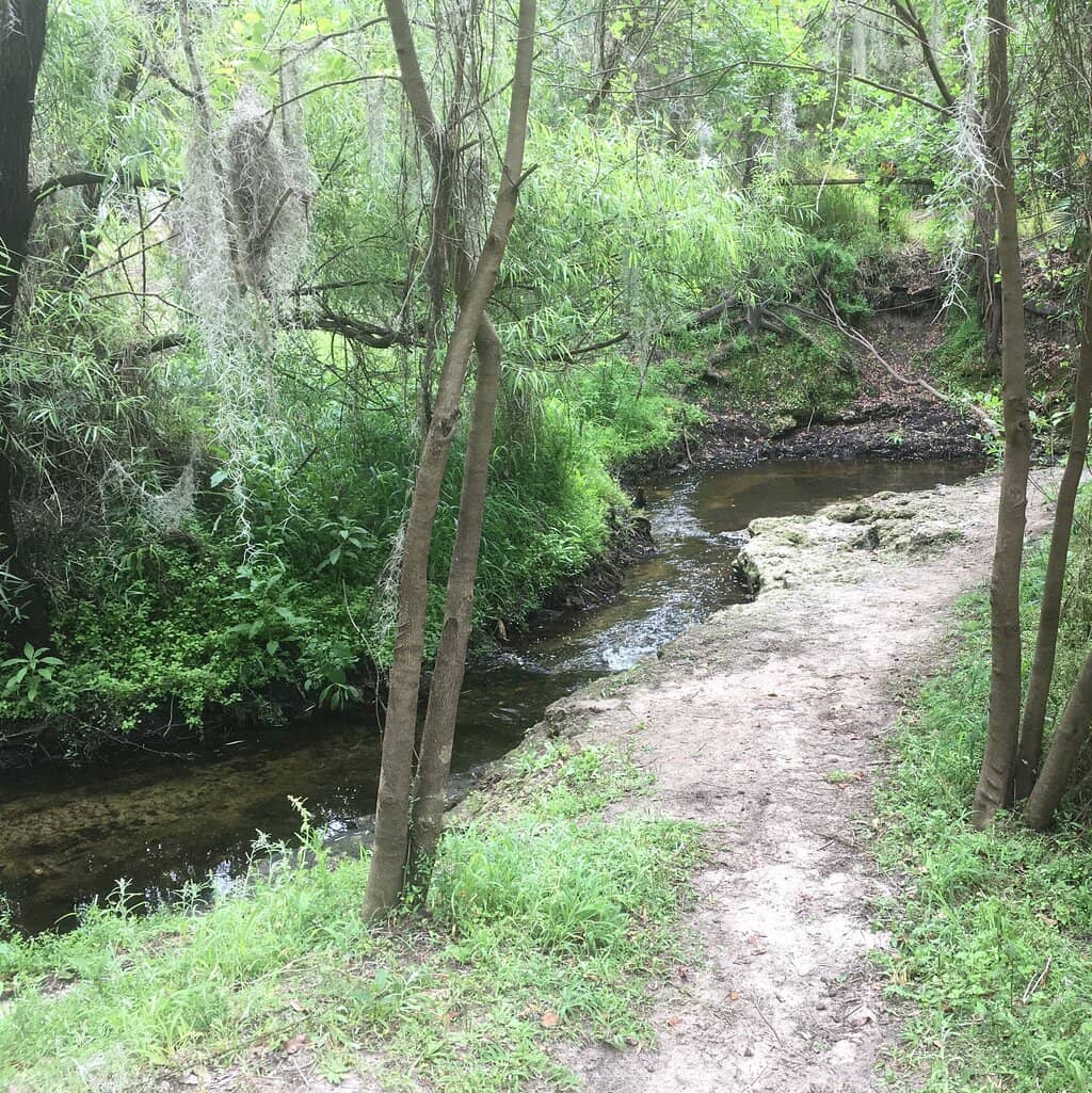 Nature Trails