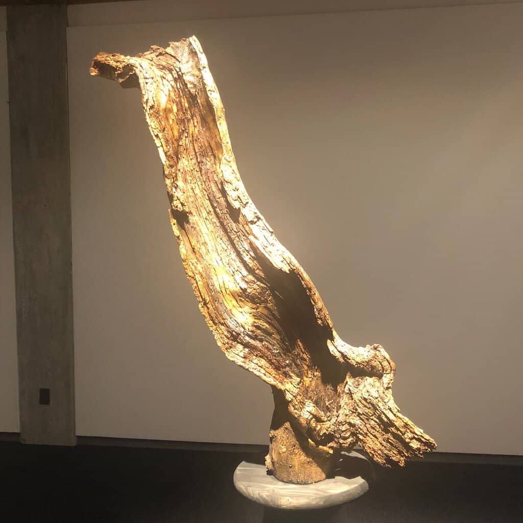 History of Iowa Artists Exhibits