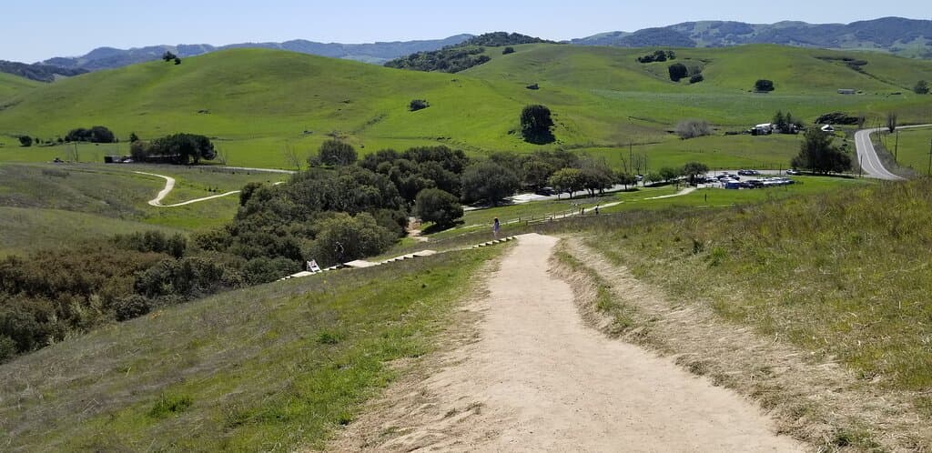 The hills are so green this time of the year!