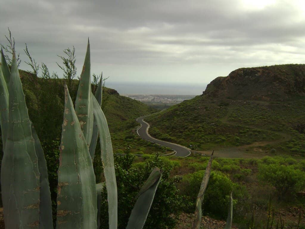 Stargazing Spectacle