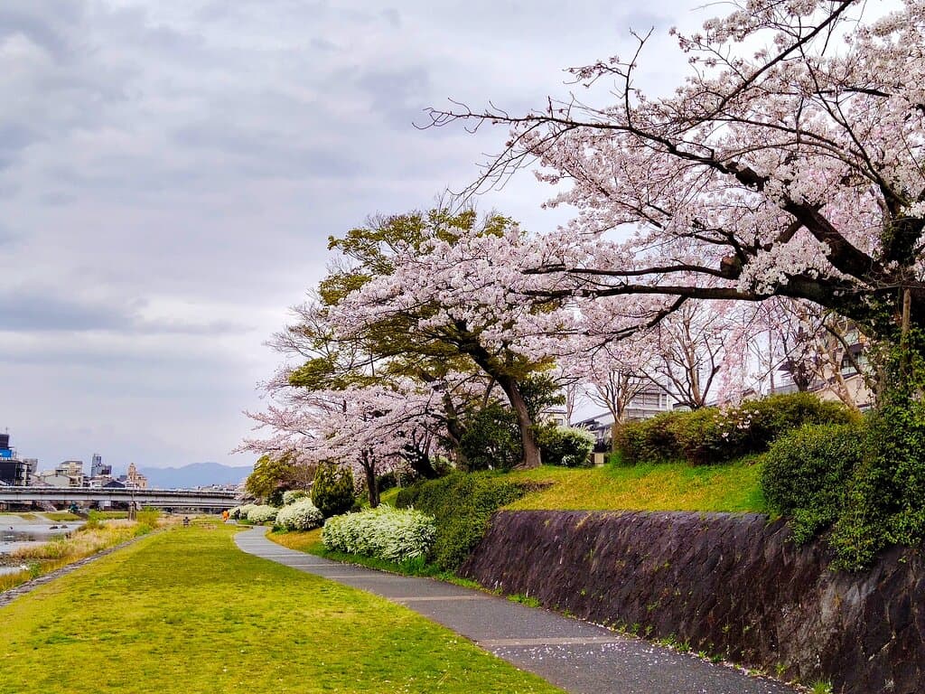 Kamo River Promenade Kyoto