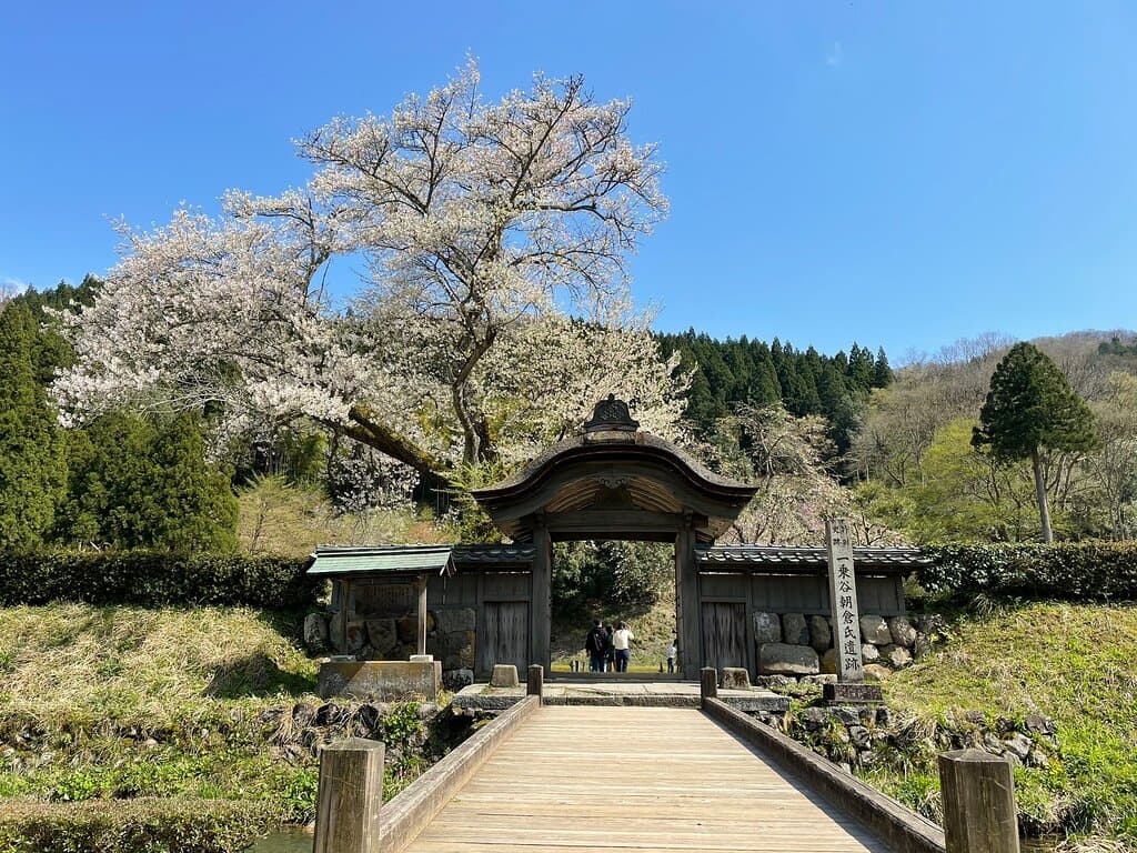 Ichijodani Asakura Clan Ruins