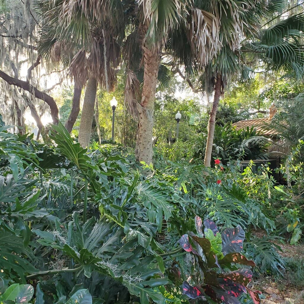 Lake Dora Waterfront