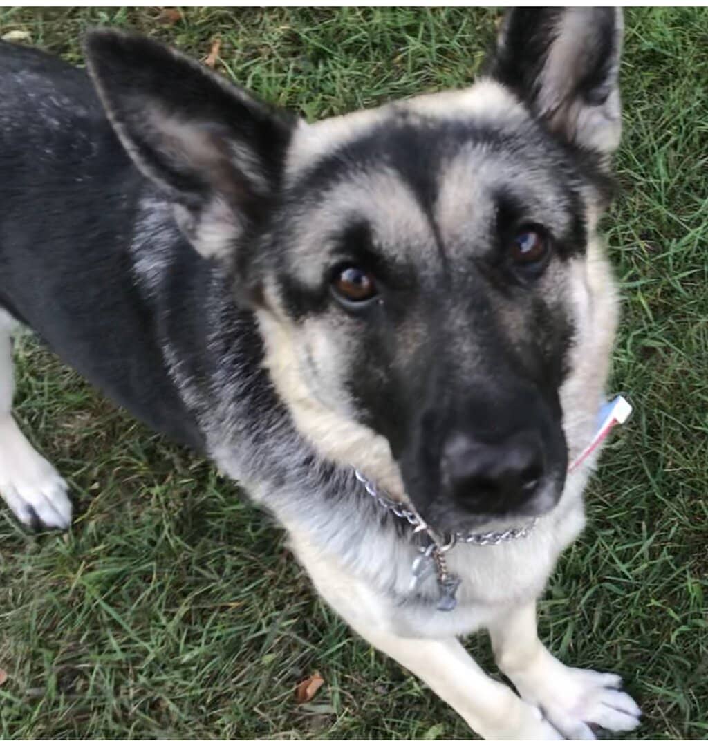 Expansive Lake Michigan Beach