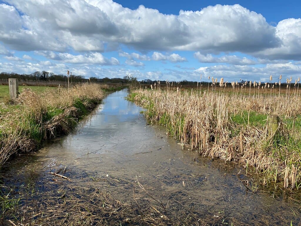 Doxey Marshes Nature Reserve