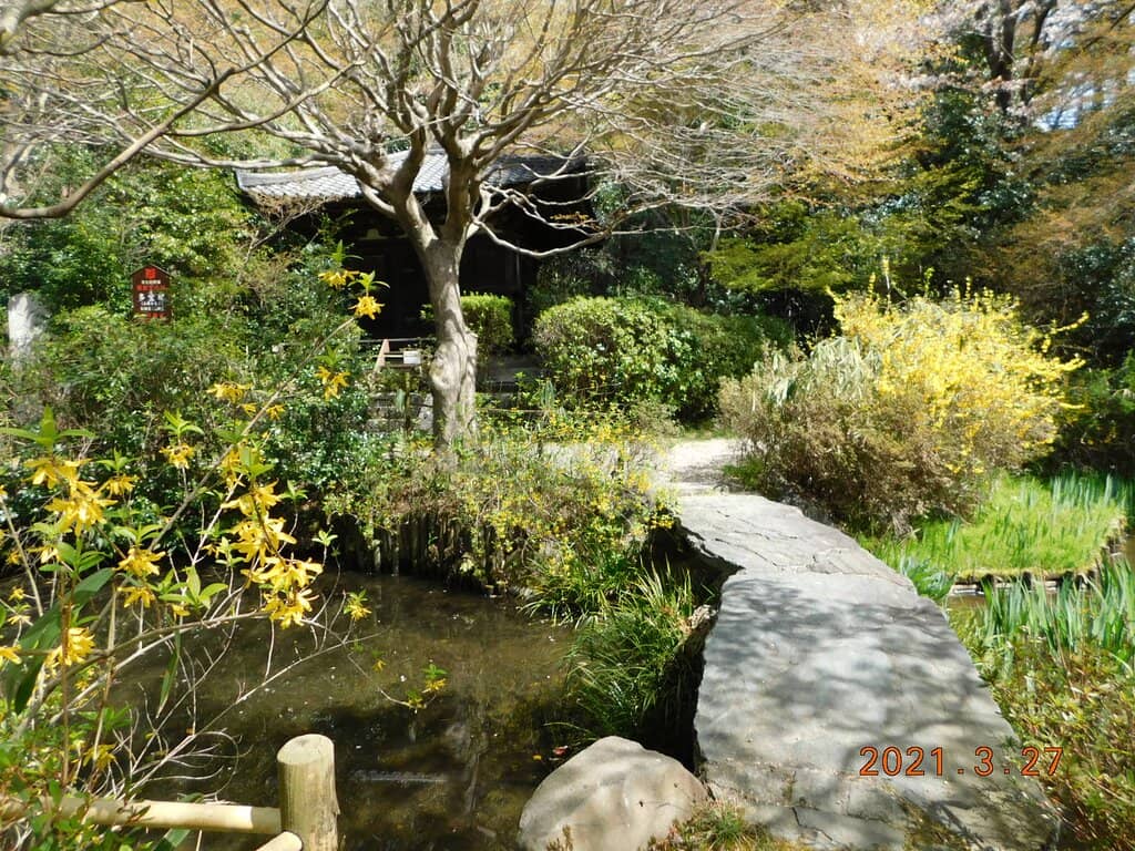 The Five Great Kings