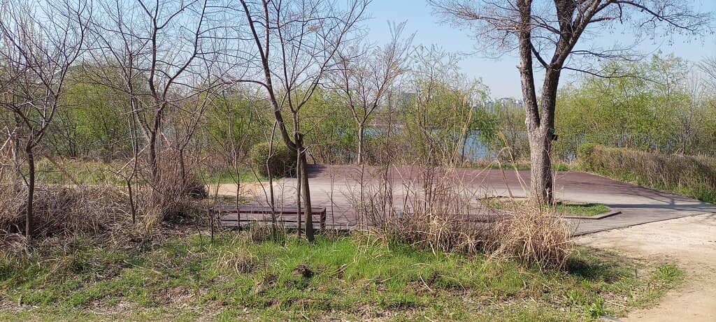 Ramen Picnic Experience