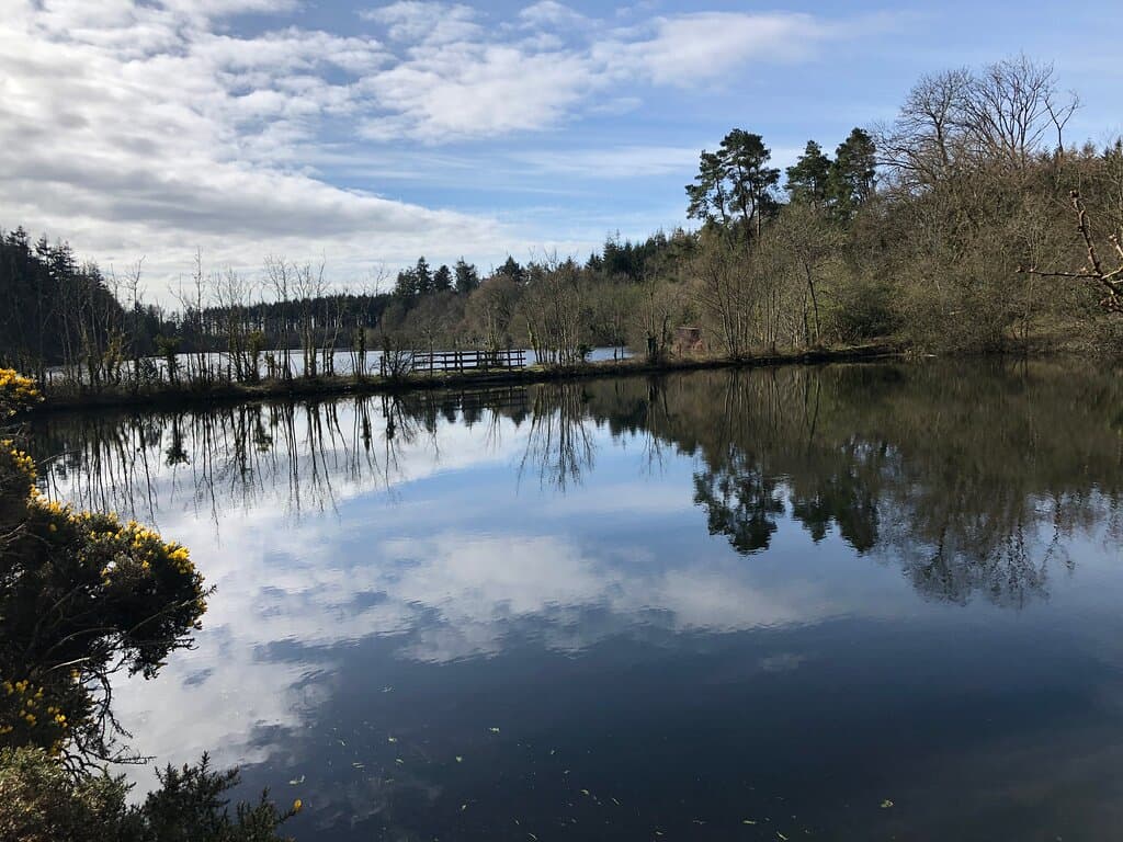 An Early Morning Walk at Trenchford | Tottiford 🤍