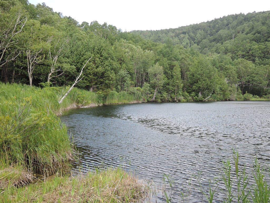 案内看板の左から撮影