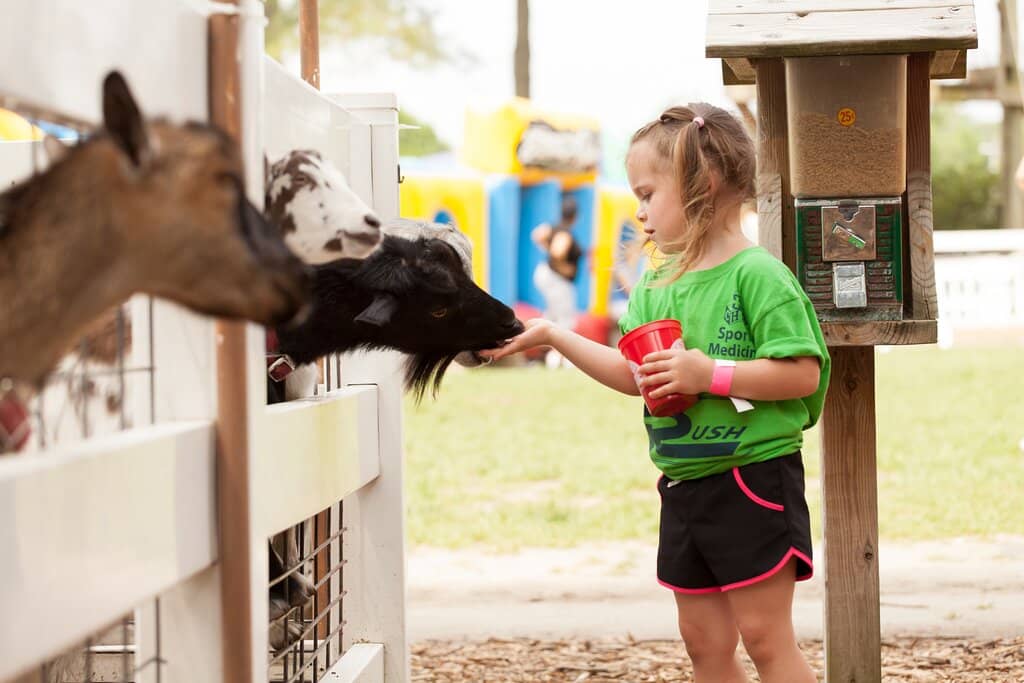 Petting Farm Fun