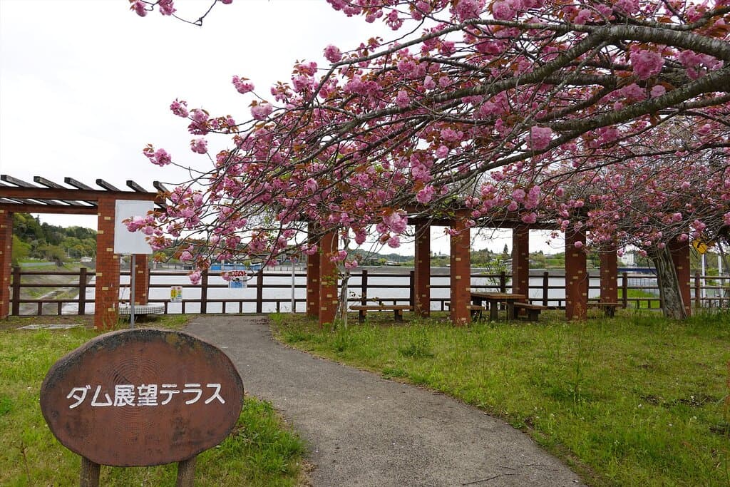 市原市・高滝ダム