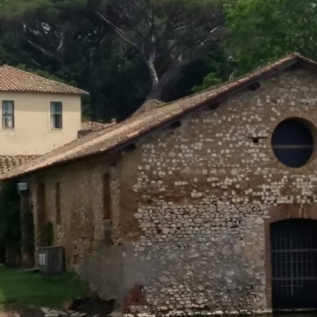 Peaceful Walking Paths