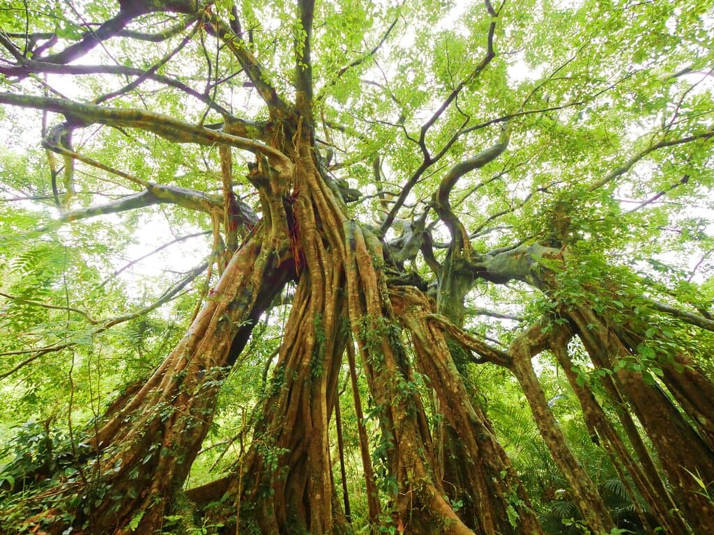 Jhihben National Forest Recreation Area