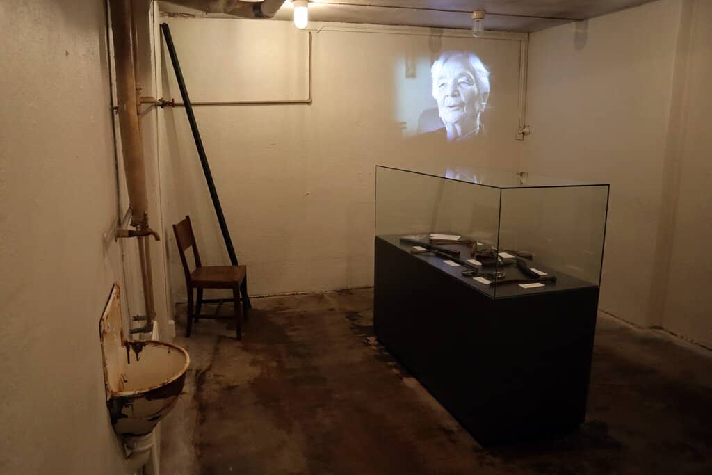 Collaborators' Perspectives