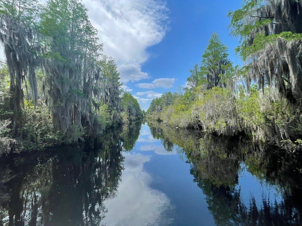 Okefenokee Swamp Park