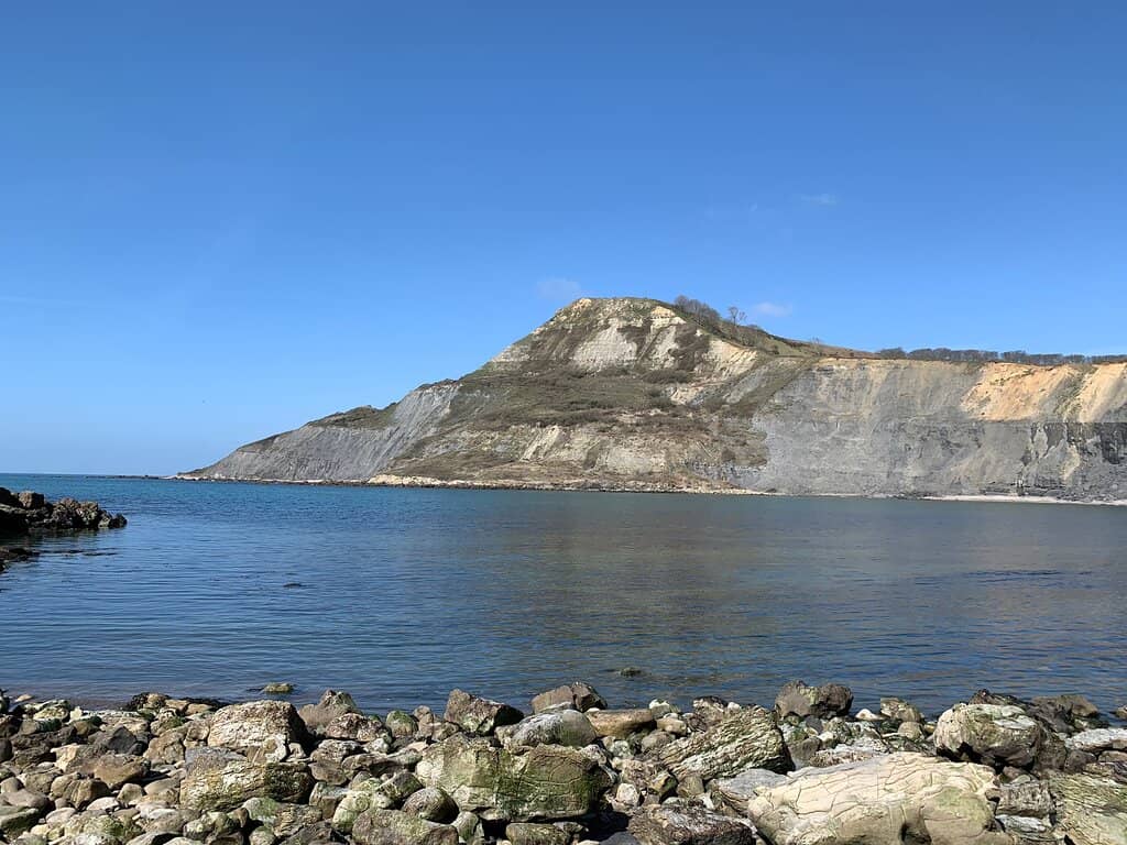 Fossil Hunting Adventure