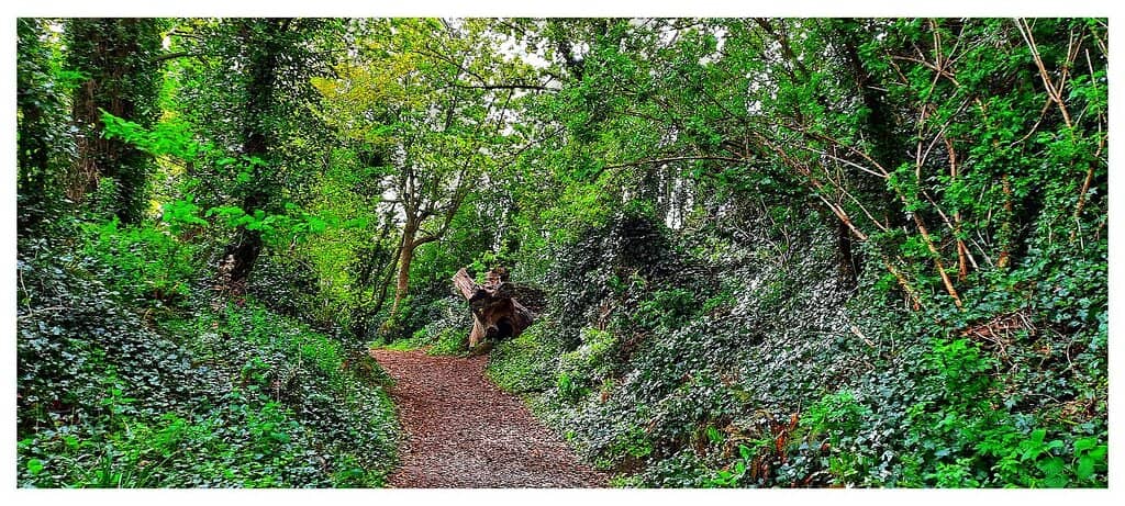 Boyne Valley Camino Path
