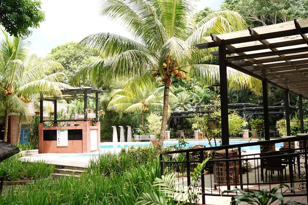 Interactive Bird Show